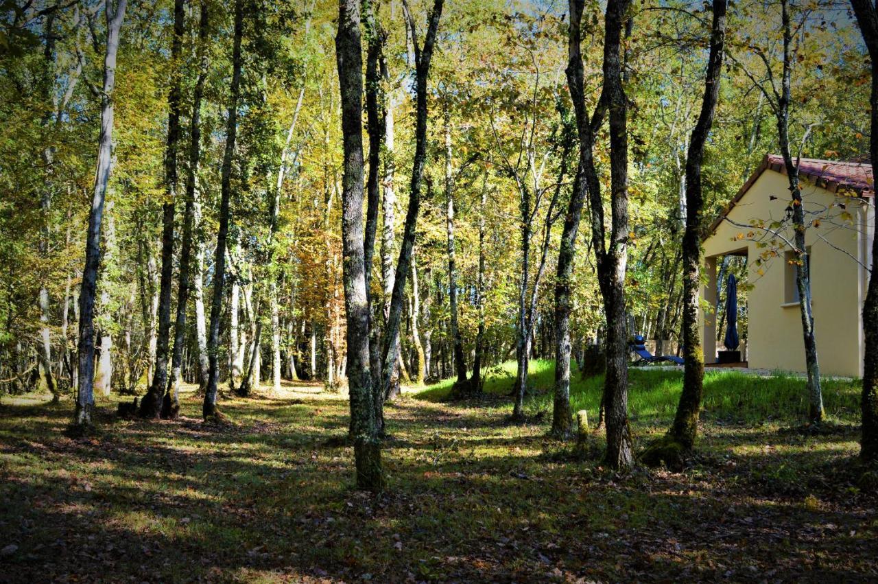 Gite Spa & Nature Saint-Chamassy Εξωτερικό φωτογραφία